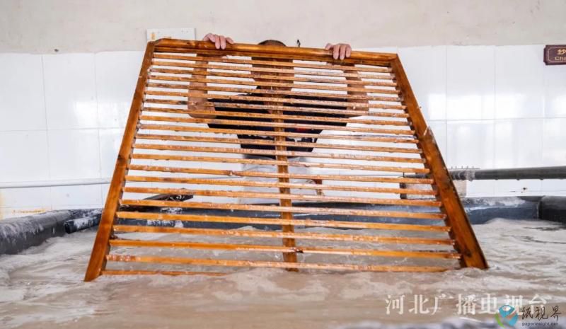 纸2(1).jpg