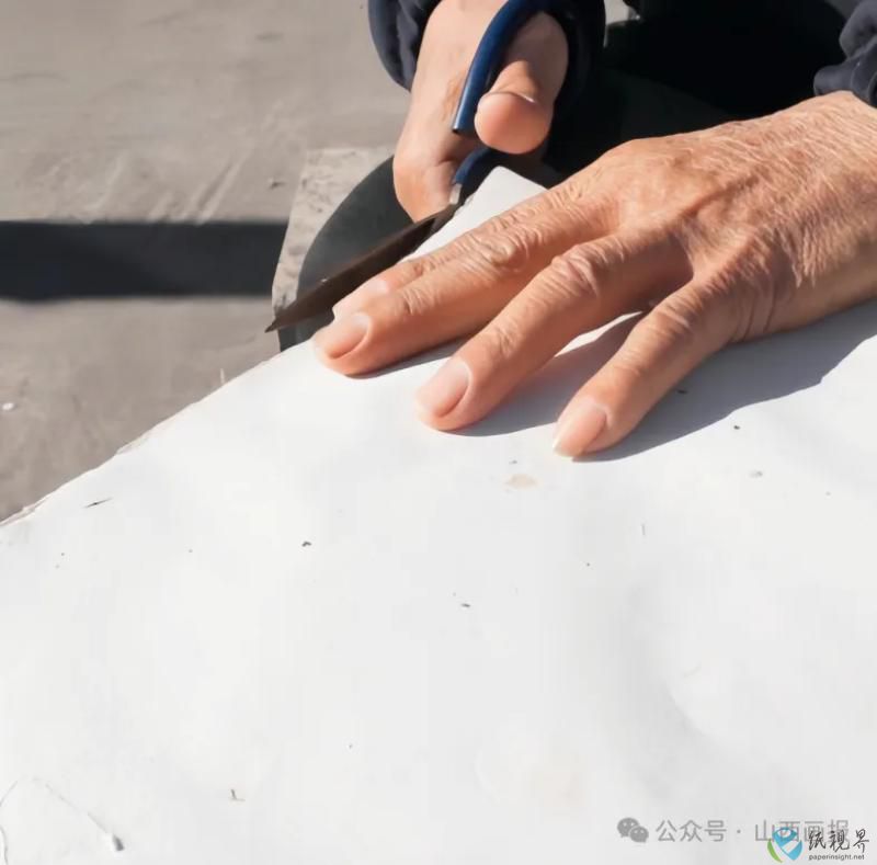 造纸19.jpg