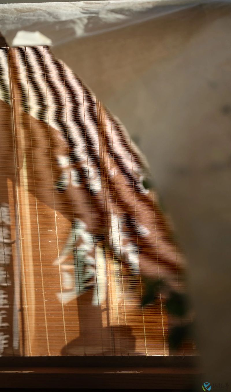 纸3.jpeg