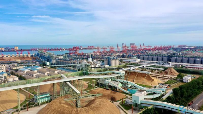 亚太森博333.jpg 亚太森博333.jpg