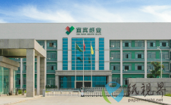 上半年收官！宜宾纸业表现如何？