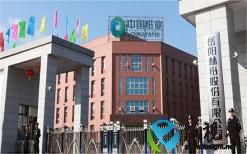 岳阳林纸去年业绩亏损超2亿，林碳签约项目突然终止